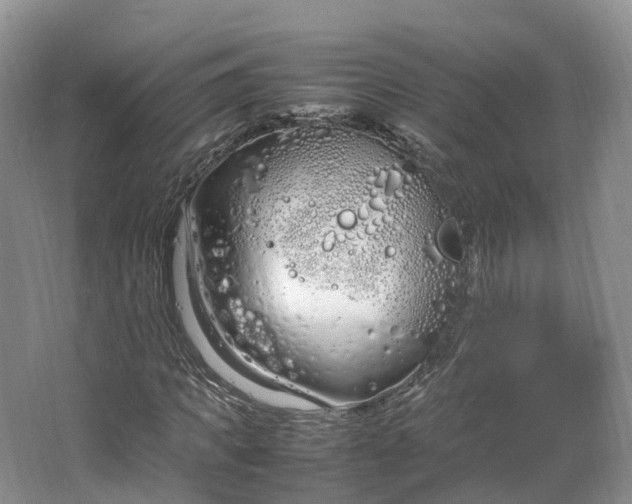 X0000064730917200602241712