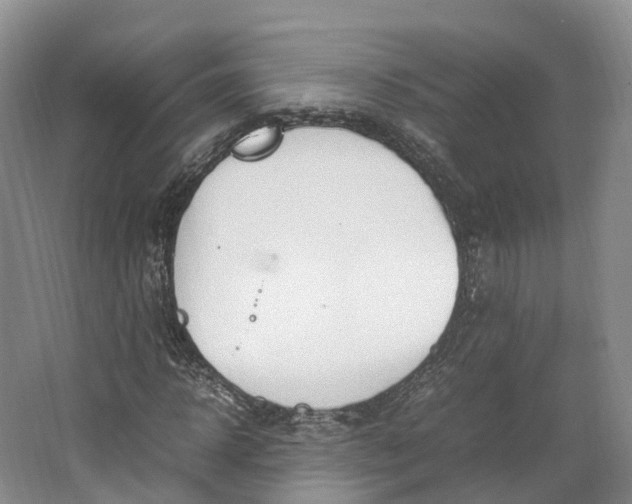 X0000064730918200602241712