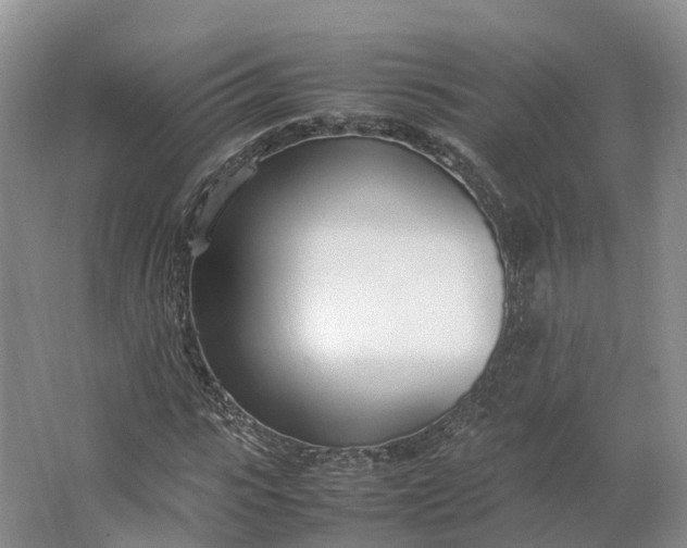 X0000064730919200602241712