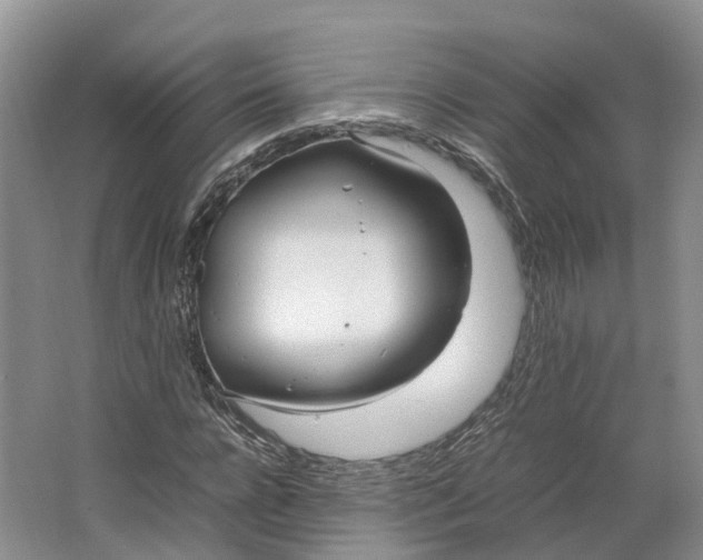 X0000064730920200602241712