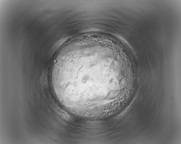 X0000064730921200602241712