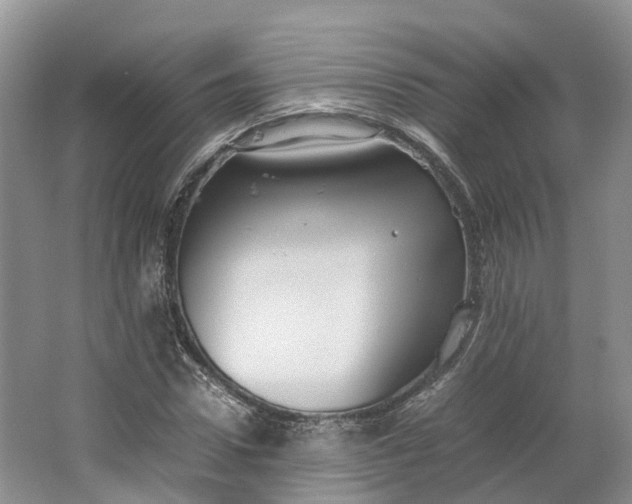 X0000064730922200602241712