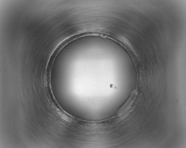 X0000064730924200602241712