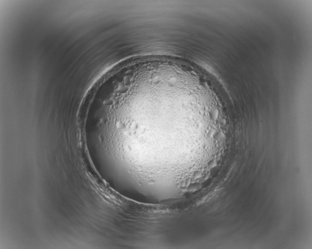 X0000064730925200602241712