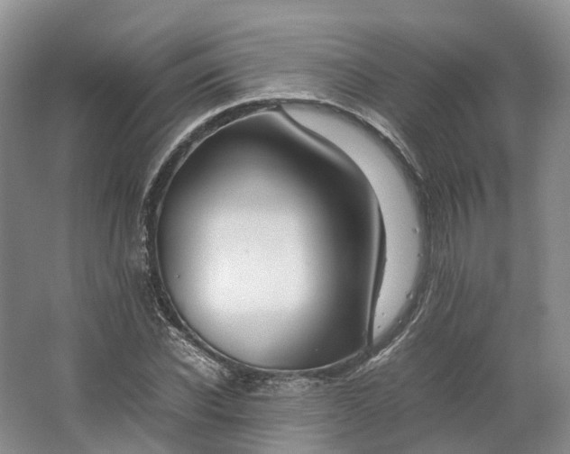 X0000064730926200602241712