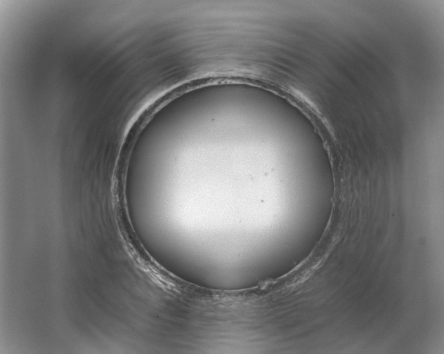 X0000064730928200602241712