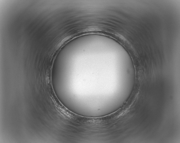 X0000064730929200602241712