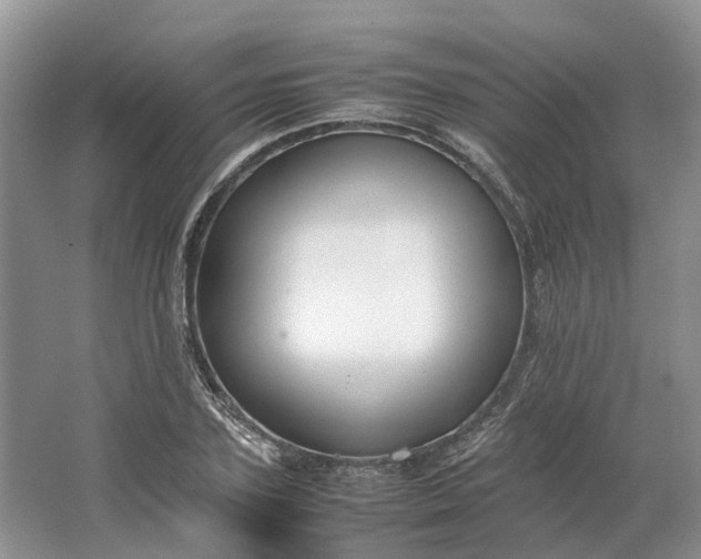 X0000064730931200602241712