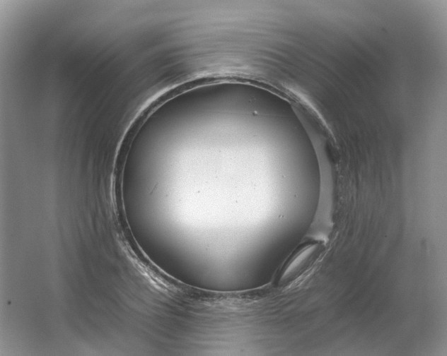 X0000064730932200602241712