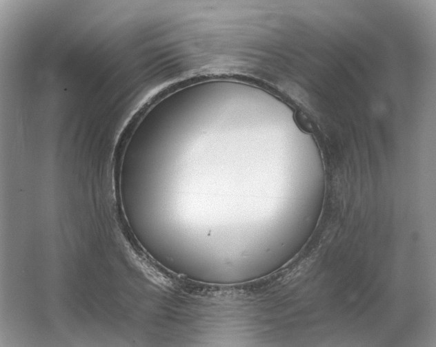 X0000064730934200602241713