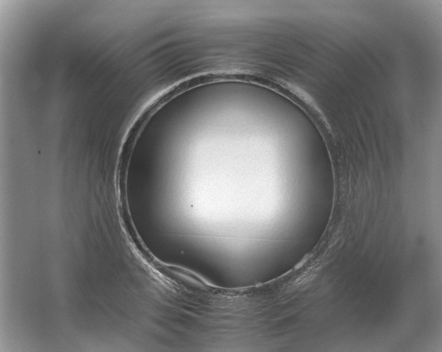 X0000064730935200602241713