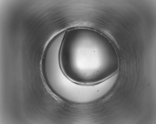 X0000064730936200602241713