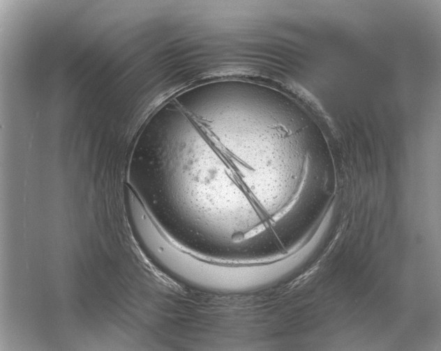 X0000064730937200602241713