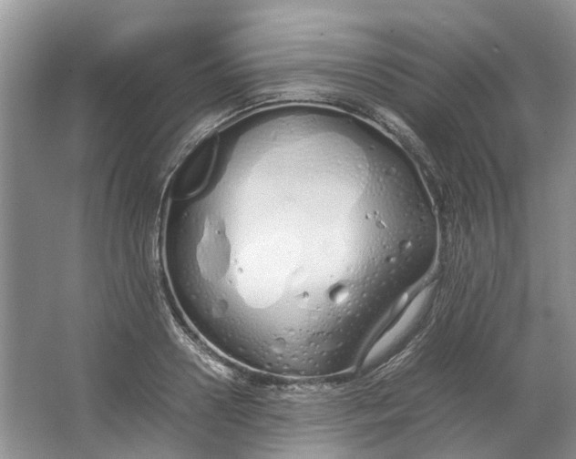 X0000064730938200602241713