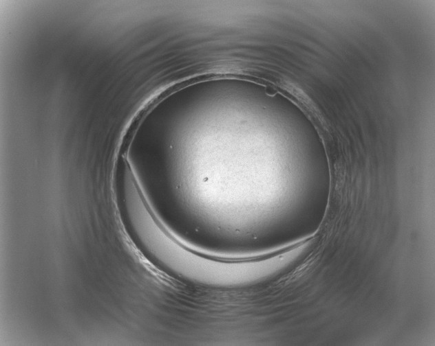 X0000064730939200602241713