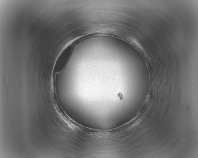 X0000064730940200602241713