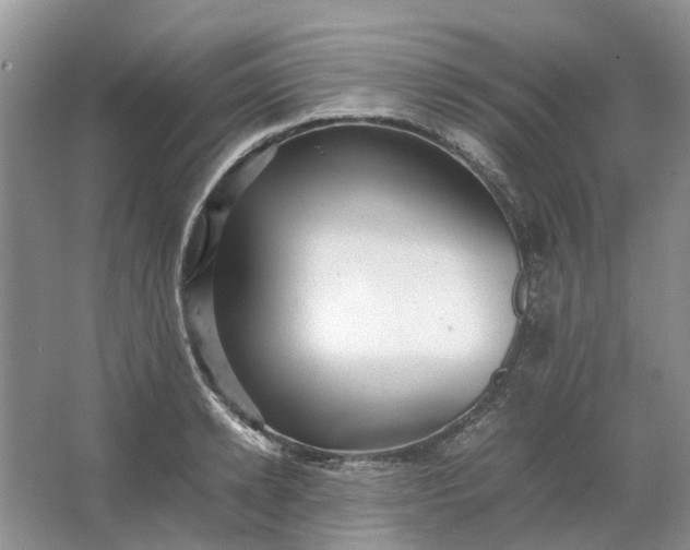 X0000064730942200602241713