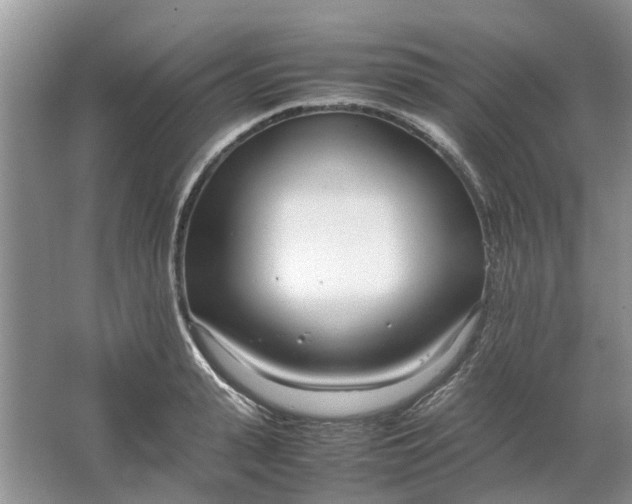 X0000064730943200602241713