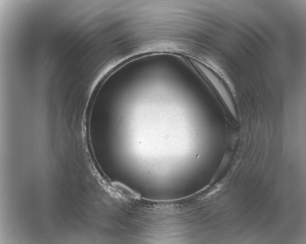 X0000064730944200602241713