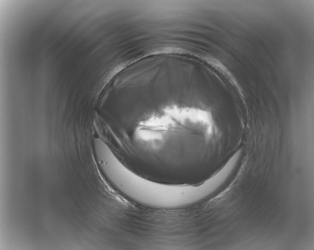 X0000064730945200602241713