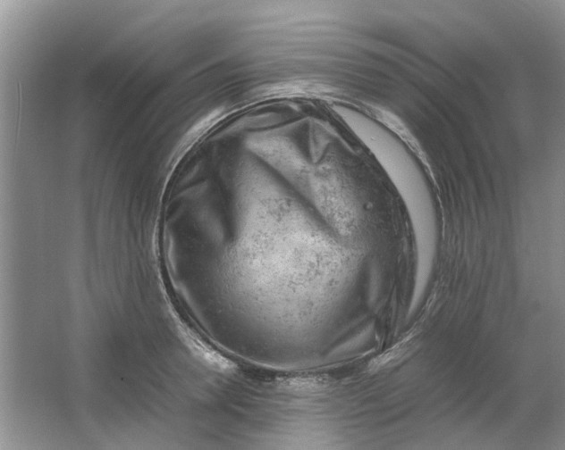 X0000064730946200602241713