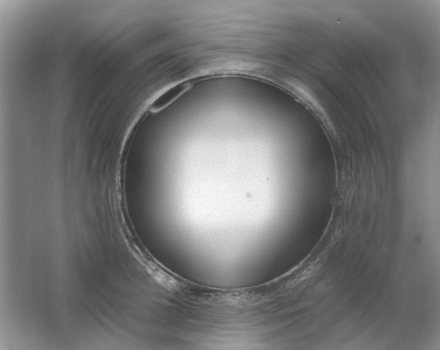 X0000064730948200602241713