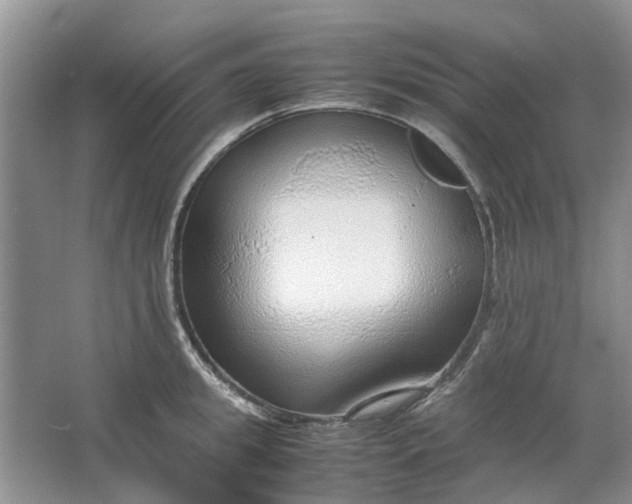 X0000064730949200602241713