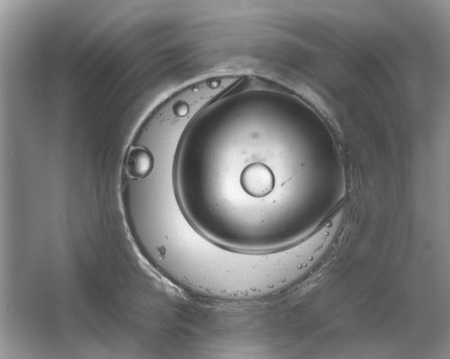 X0000064730950200602241713