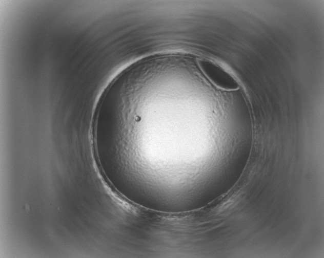 X0000064730951200602241713