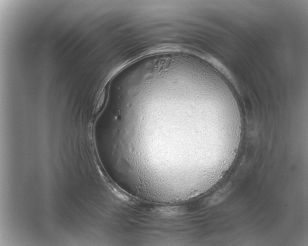 X0000064730953200602241713