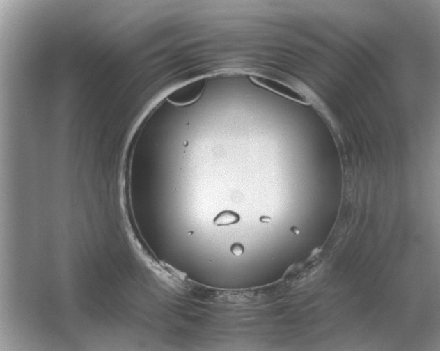 X0000064730955200602241713