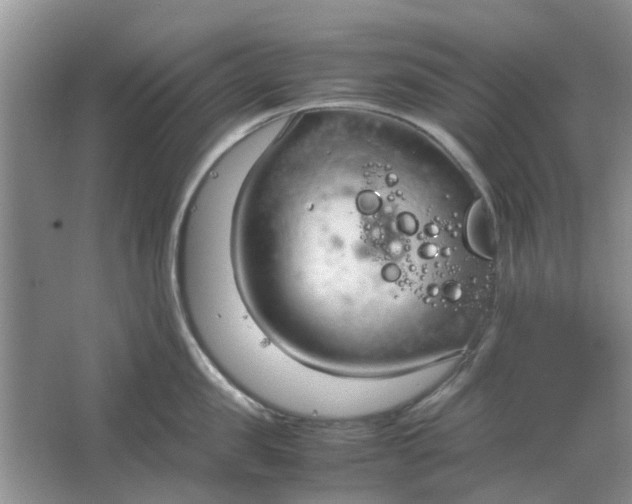 X0000064730957200602241713