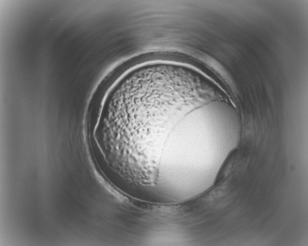 X0000064730958200602241713