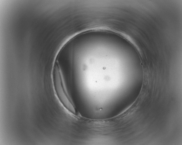 X0000064730959200602241713