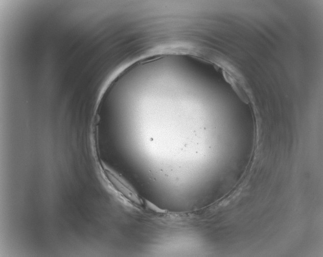 X0000064730960200602241713