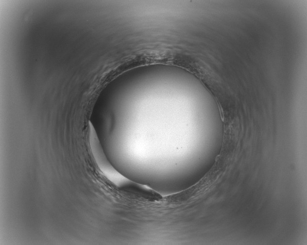 X0000064730961200602241712