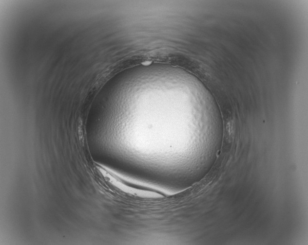 X0000064730963200602241712