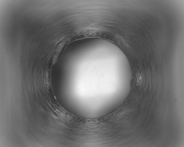 X0000064730964200602241712