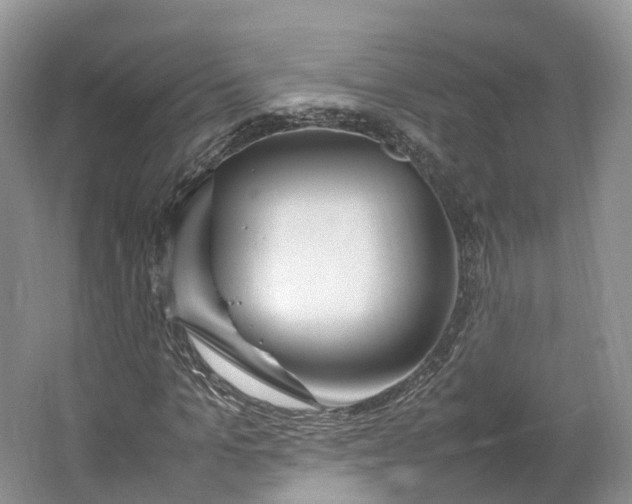 X0000064730965200602241712