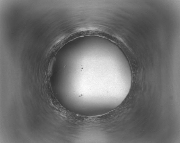 X0000064730967200602241712