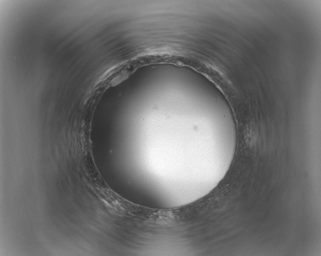 X0000064730968200602241712