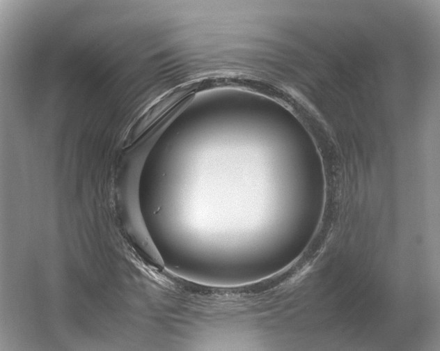 X0000064730969200602241712