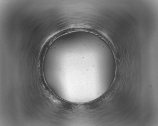 X0000064730971200602241712