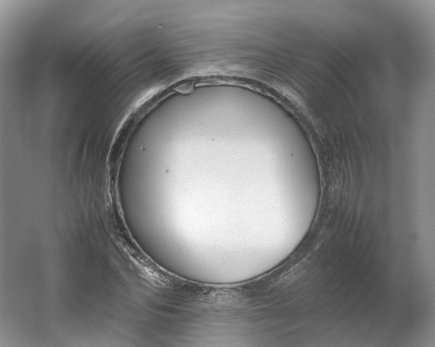 X0000064730974200602241712