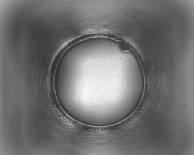 X0000064730975200602241712