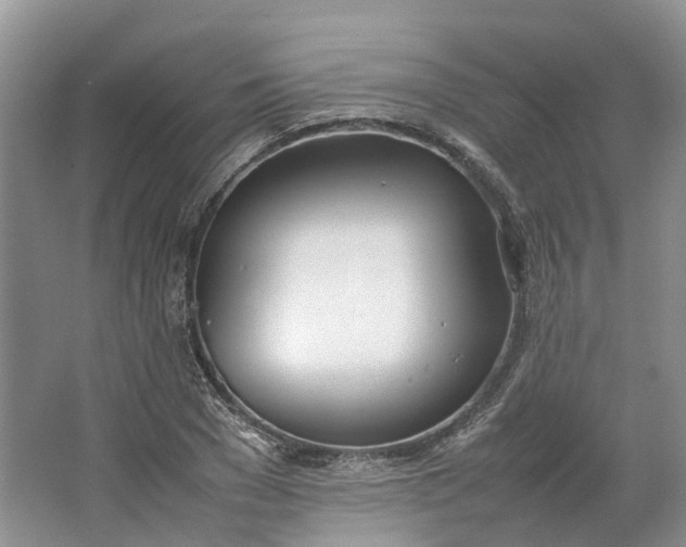 X0000064730977200602241712