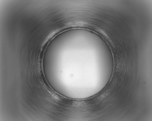 X0000064730978200602241712