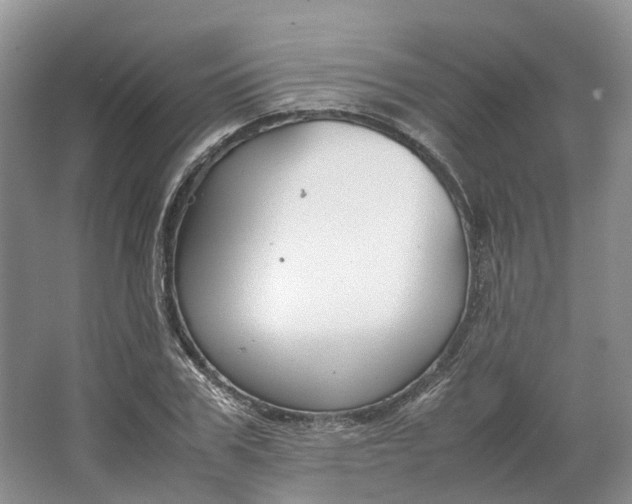 X0000064730979200602241712