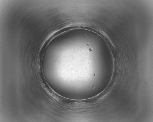 X0000064730981200602241711