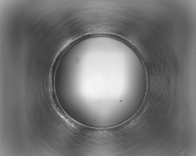 X0000064730982200602241711